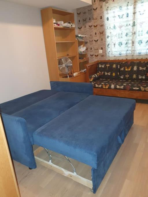 Appartement Dans Un Jardin 日内瓦 外观 照片